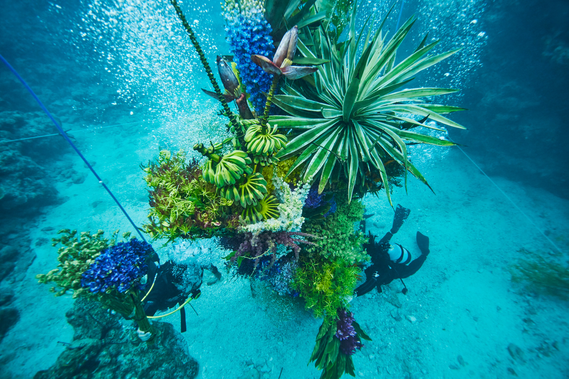 Botanical sculpture × In Bloom project - Sea #3 | AMKK（東信, 花樹